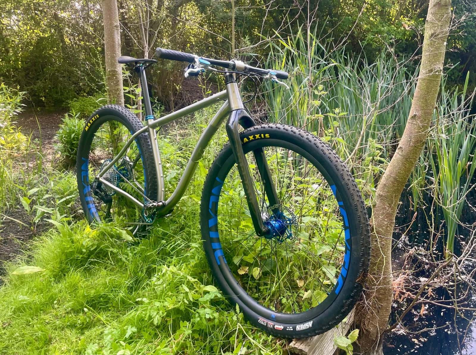 Travers EVO Prong carbon fork on a titanium hardtail