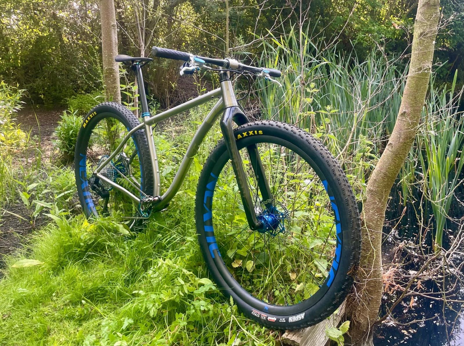 Travers EVO Prong carbon fork on a titanium hardtail