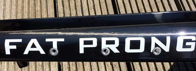 Fat Prong, photo 1 of 10