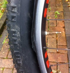 Tubeless Northpaw rims with Knard 29+, photo 3 of 3