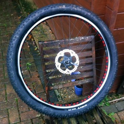 Tubeless Northpaw rims with Knard 29+, photo 2 of 3