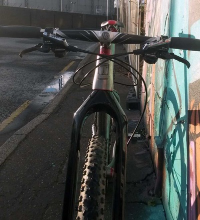 Custom Rudy 29er, photo 6 of 7