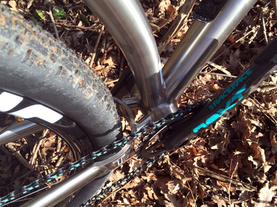 Travers Russ Ti (with 29er wheels/tyres), photo 5 of 12
