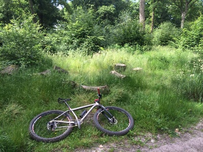 Treasure hunt, photo 3 of 4