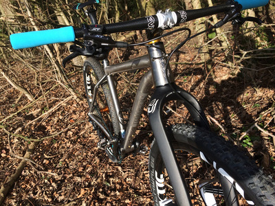 Travers Russ Ti (with 29er wheels/tyres), photo 8 of 12