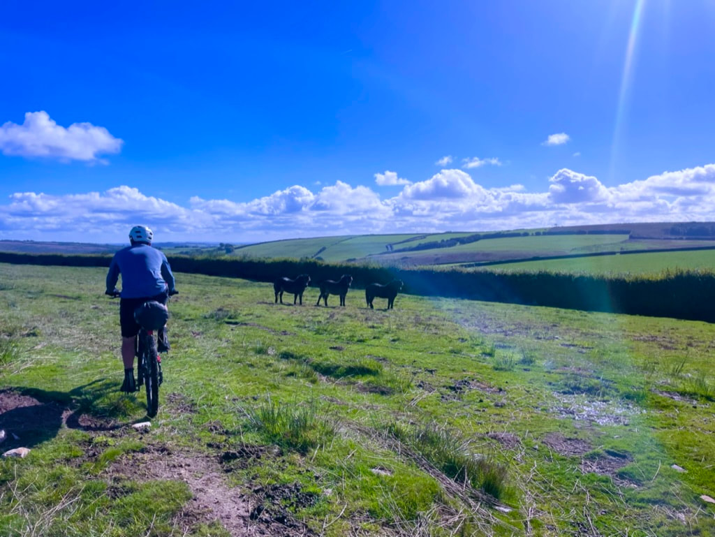 Bikepacking Exmoor & Quantock Hills - Day 2, photo 3 of 11