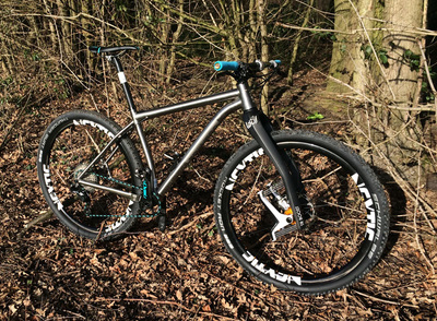 Travers Russ Ti (with 29er wheels/tyres), photo 12 of 12