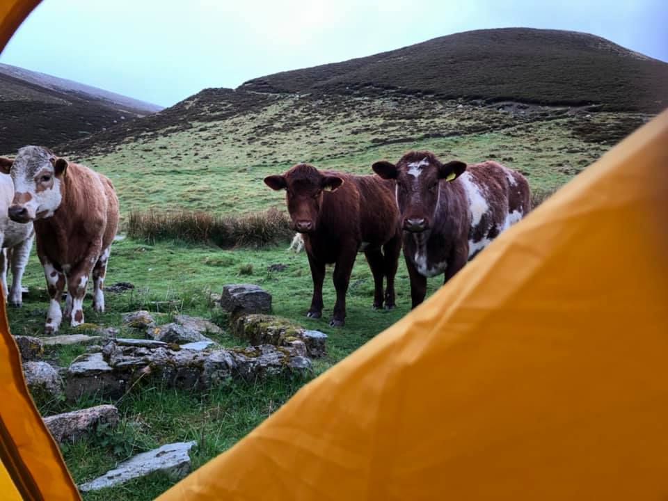Cairngorms National Park, photo 1 of 14