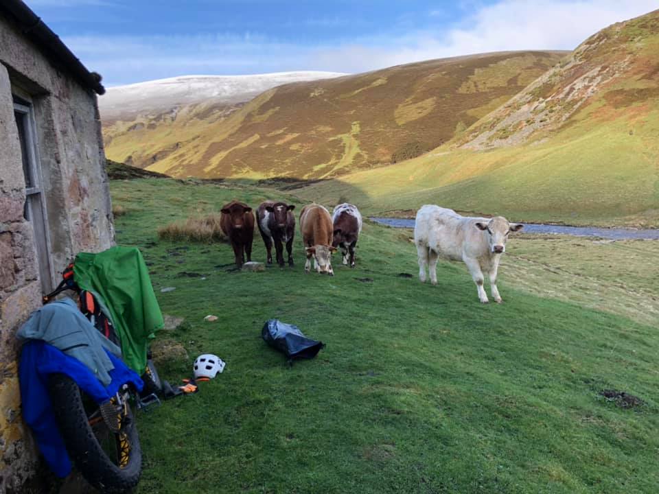 Cairngorms National Park, photo 2 of 14