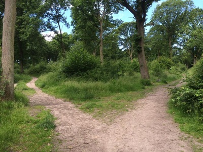 Treasure hunt, photo 2 of 4