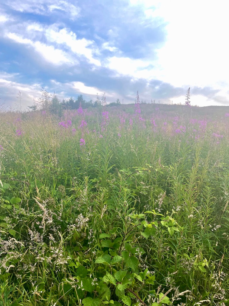 Great British Divide - Day 5, photo 11 of 13