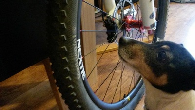 Nextie NXT29T27 Review, photo 3 of 5
