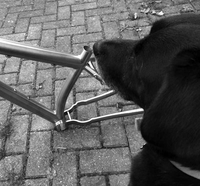 Cable run for Rohloff hub on Angus frame, photo 1 of 7