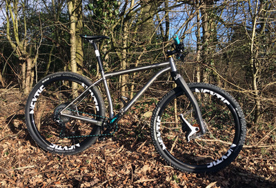 Travers Russ Ti (with 29er wheels/tyres), photo 6 of 12