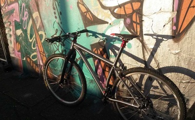 Custom Rudy 29er, photo 2 of 7