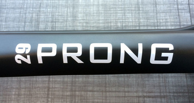 The new Prong 29, photo 12 of 16