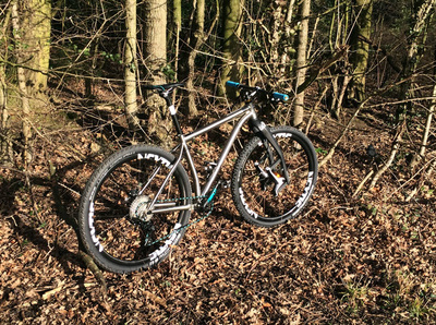 Travers Russ Ti (with 29er wheels/tyres), photo 4 of 12