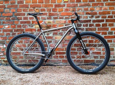Single Speed Rudy Fat, photo 3 of 5