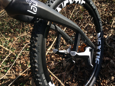 Travers Russ Ti (with 29er wheels/tyres), photo 11 of 12