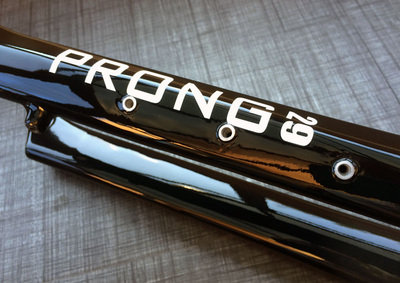 The new Prong 29, photo 15 of 16