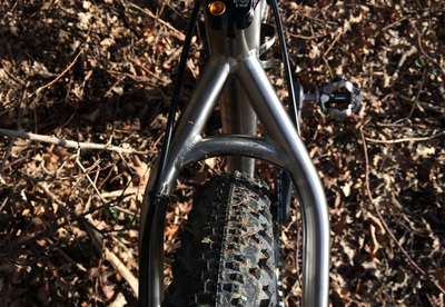 Travers Russ Ti (with 29er wheels/tyres), photo 3 of 12