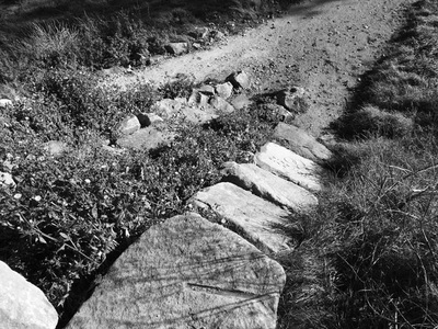 Olympic Mountain Bike Track Maintenance., photo 15 of 17