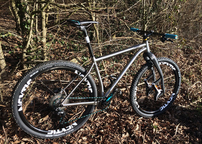 Travers Russ Ti (with 29er wheels/tyres), photo 10 of 12