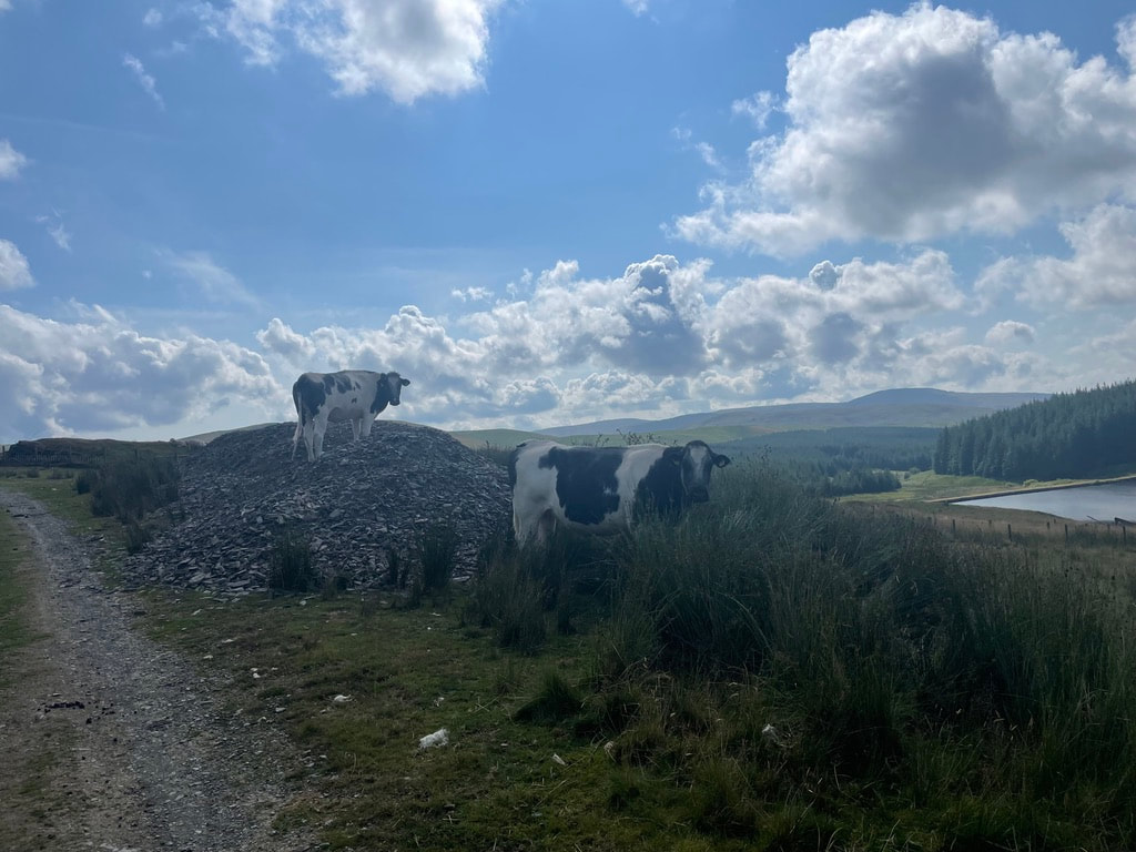 Great British Divide - Day 5, photo 4 of 13