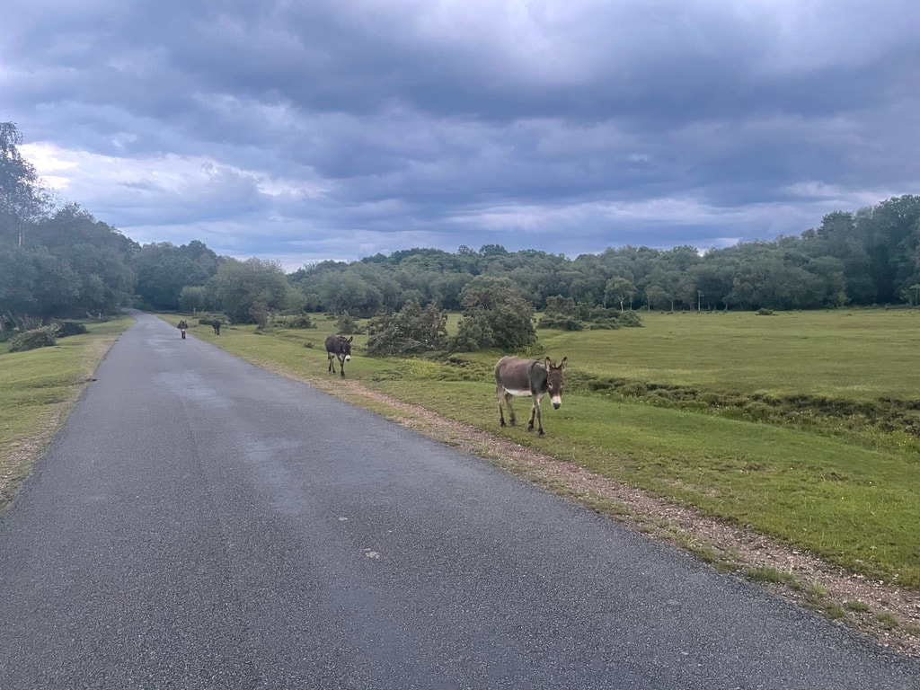 Great British Divide - Day 2, photo 10 of 10