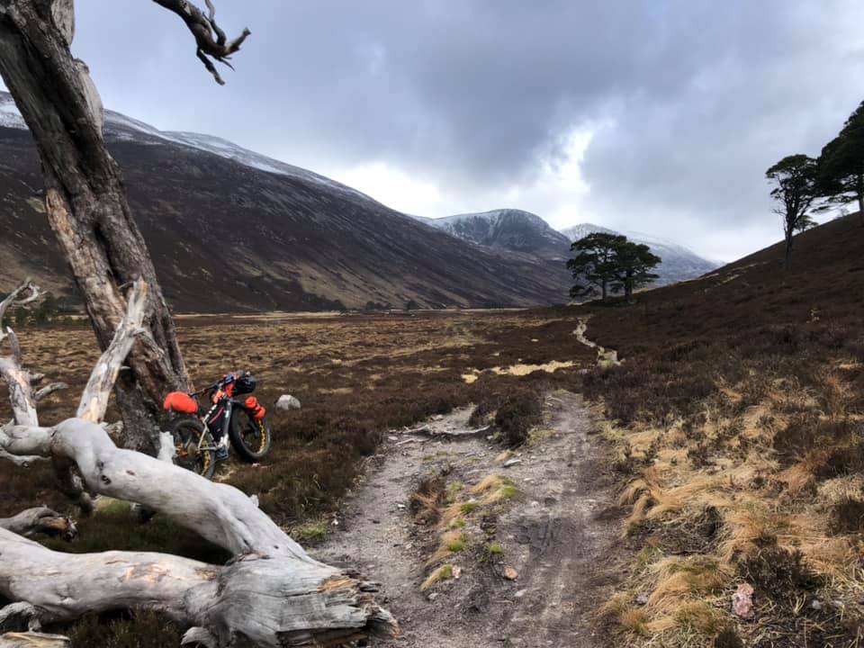 Cairngorms National Park, photo 11 of 14
