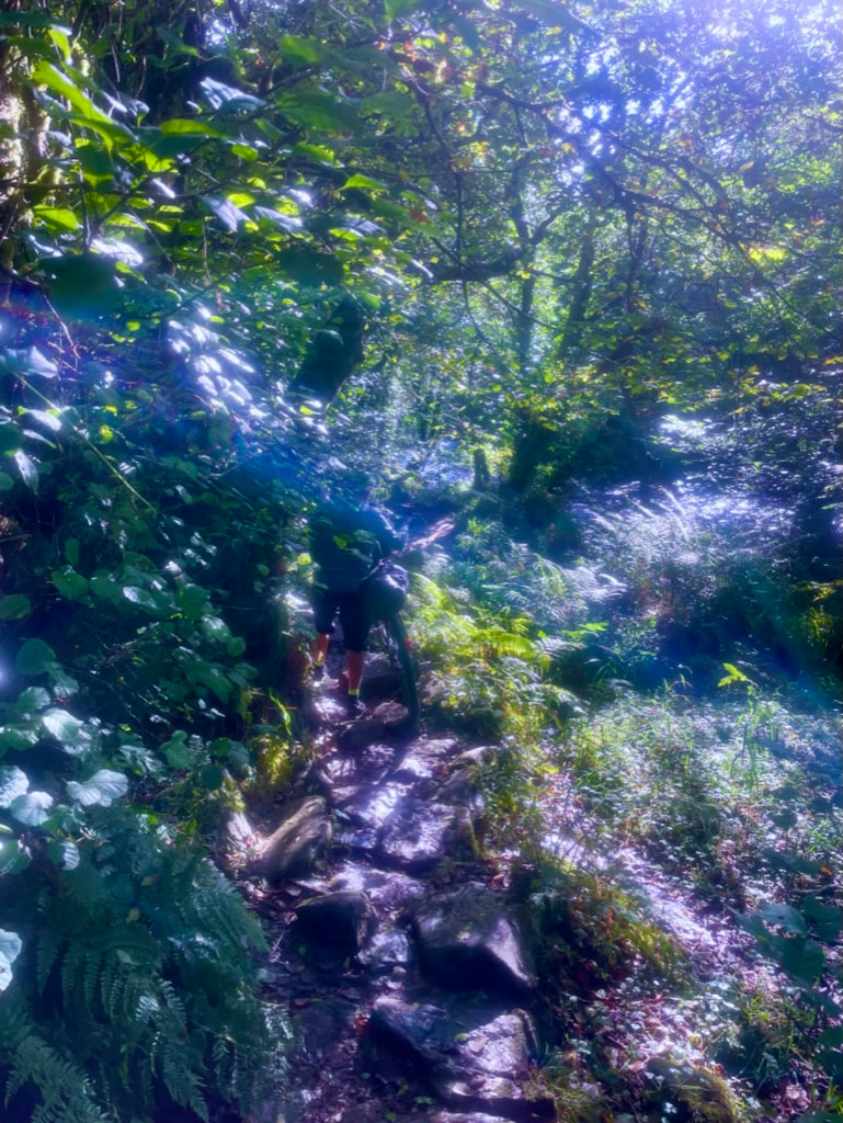 Bikepacking Exmoor & Quantock Hills - Day 2, photo 7 of 11