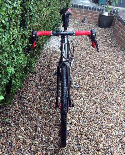 DIRTi red build, photo 2 of 5