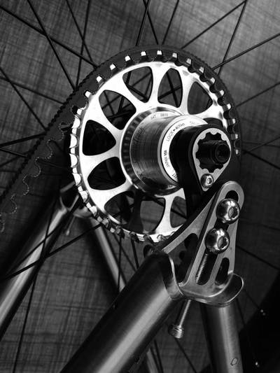 Travers Pinion Fat Bike with Gate Carbon Drive, photo 3 of 4