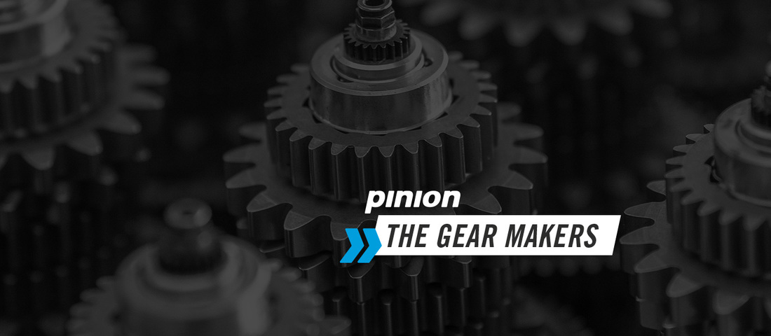 Pinion gearbox