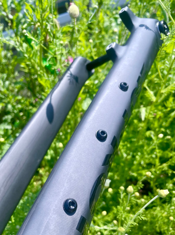 Travers EVO Prong rigid Carbon fork, photo 4 of 4