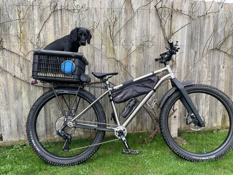 Travers Dog bike carrier, photo 1 of 4