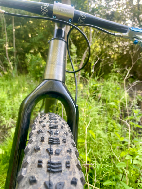 Introducing the EVO Prong Carbon MTB Fork, photo 3 of 3