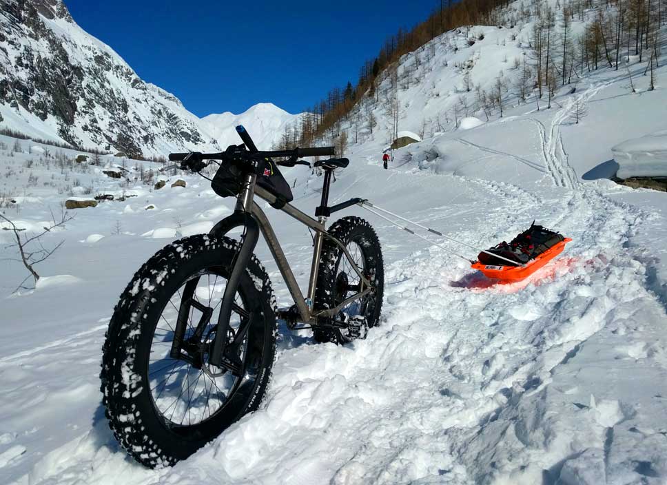 Lauf Carbonara Long term review