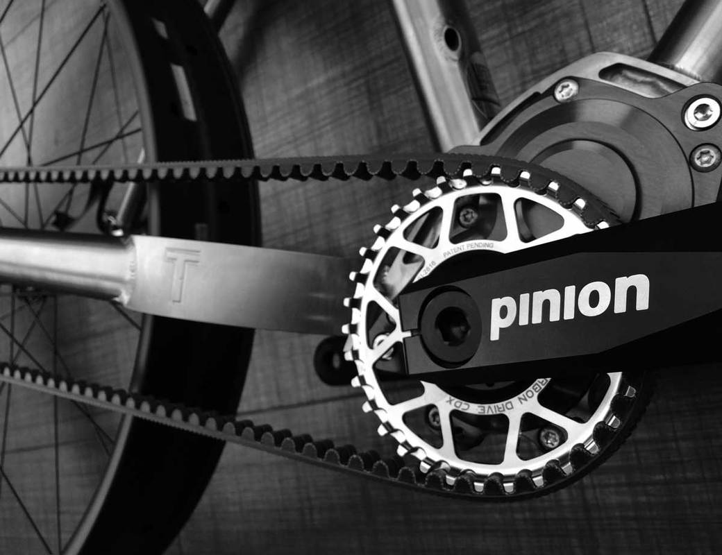 Travers Pinion Fat Bike with Gate Carbon Drive, photo 1 of 4