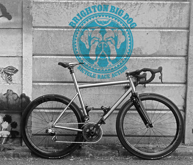 Brighton Big Dog