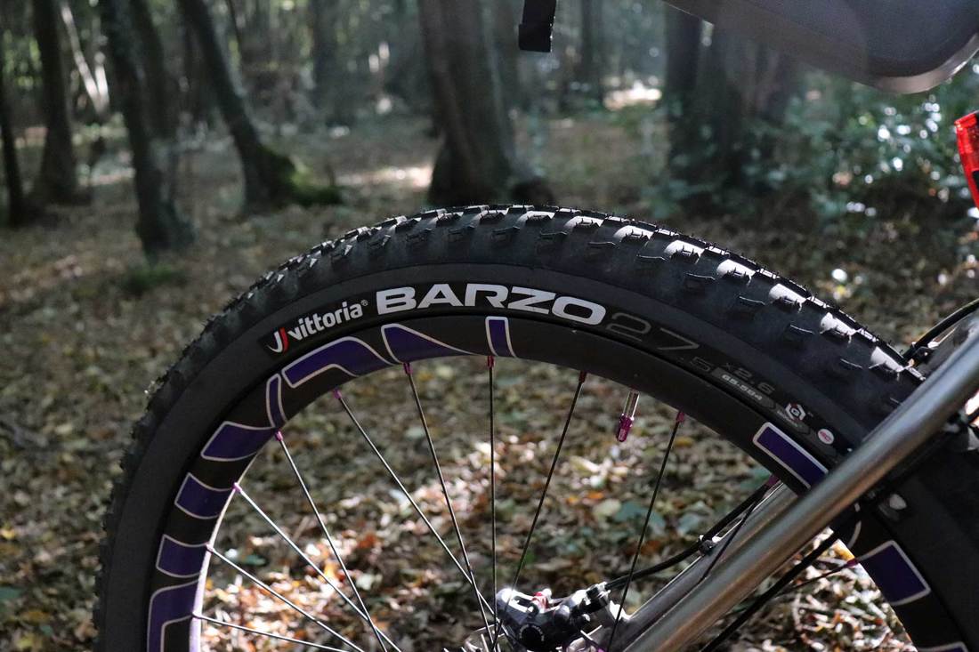 BearBones BB200 Setup, photo 4 of 17